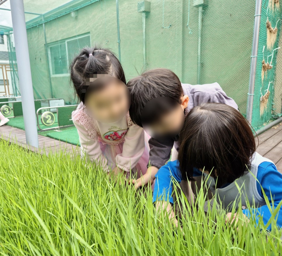 즐거운유치원 이미지