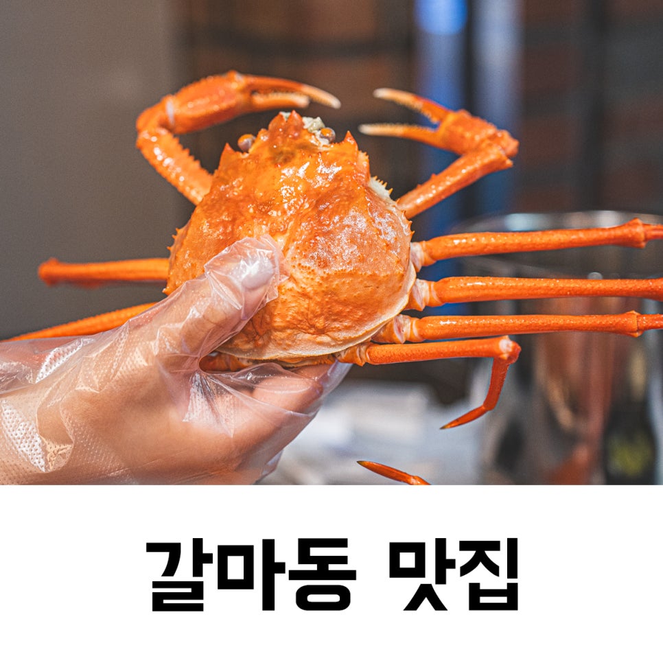 게판 오분전 이미지