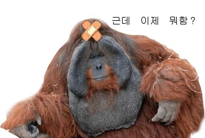 쉼게스트하우스 이미지