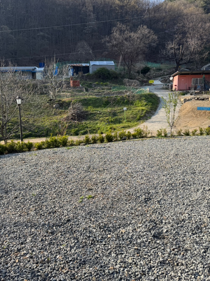 서리실힐링가족캠핑장 이미지