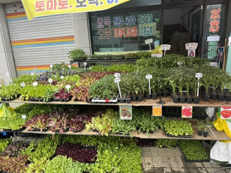 우리농산모종 이미지