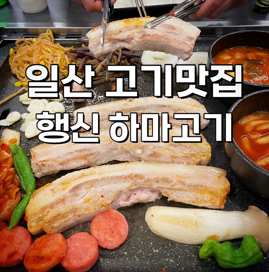 하마고기행신 이미지