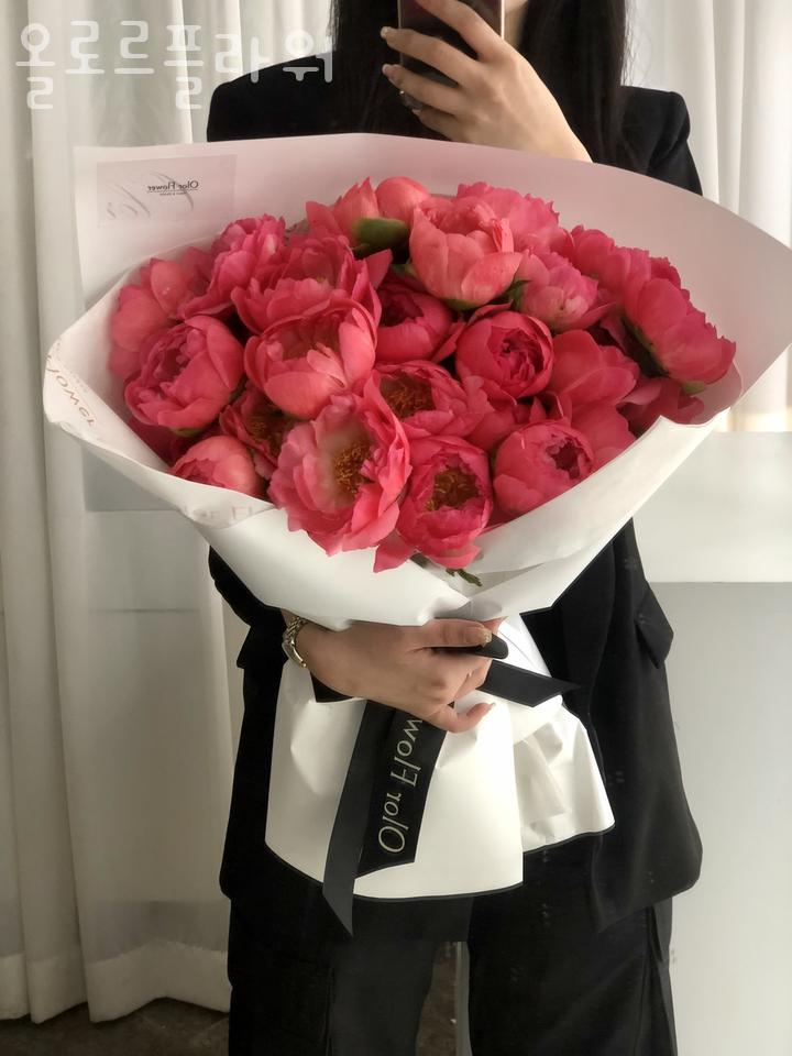 올로르 이미지