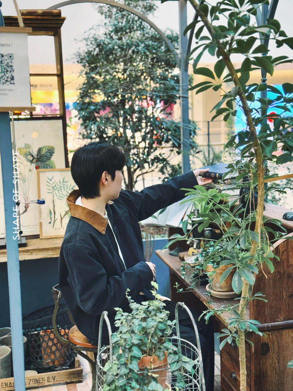 영스케 이미지