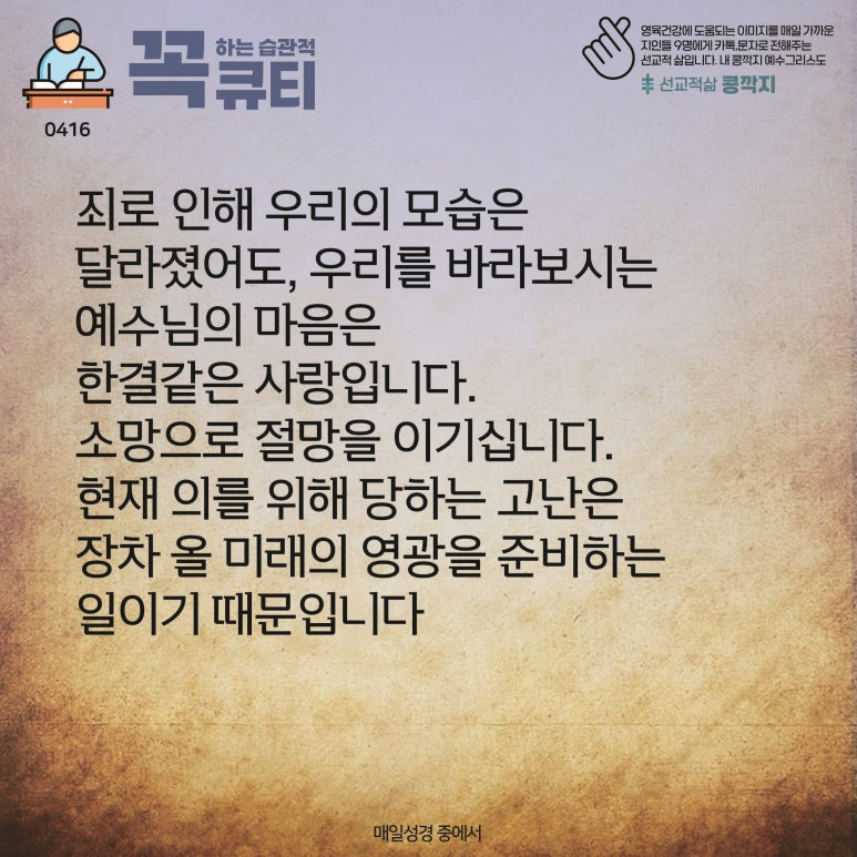 콩깍지 이미지