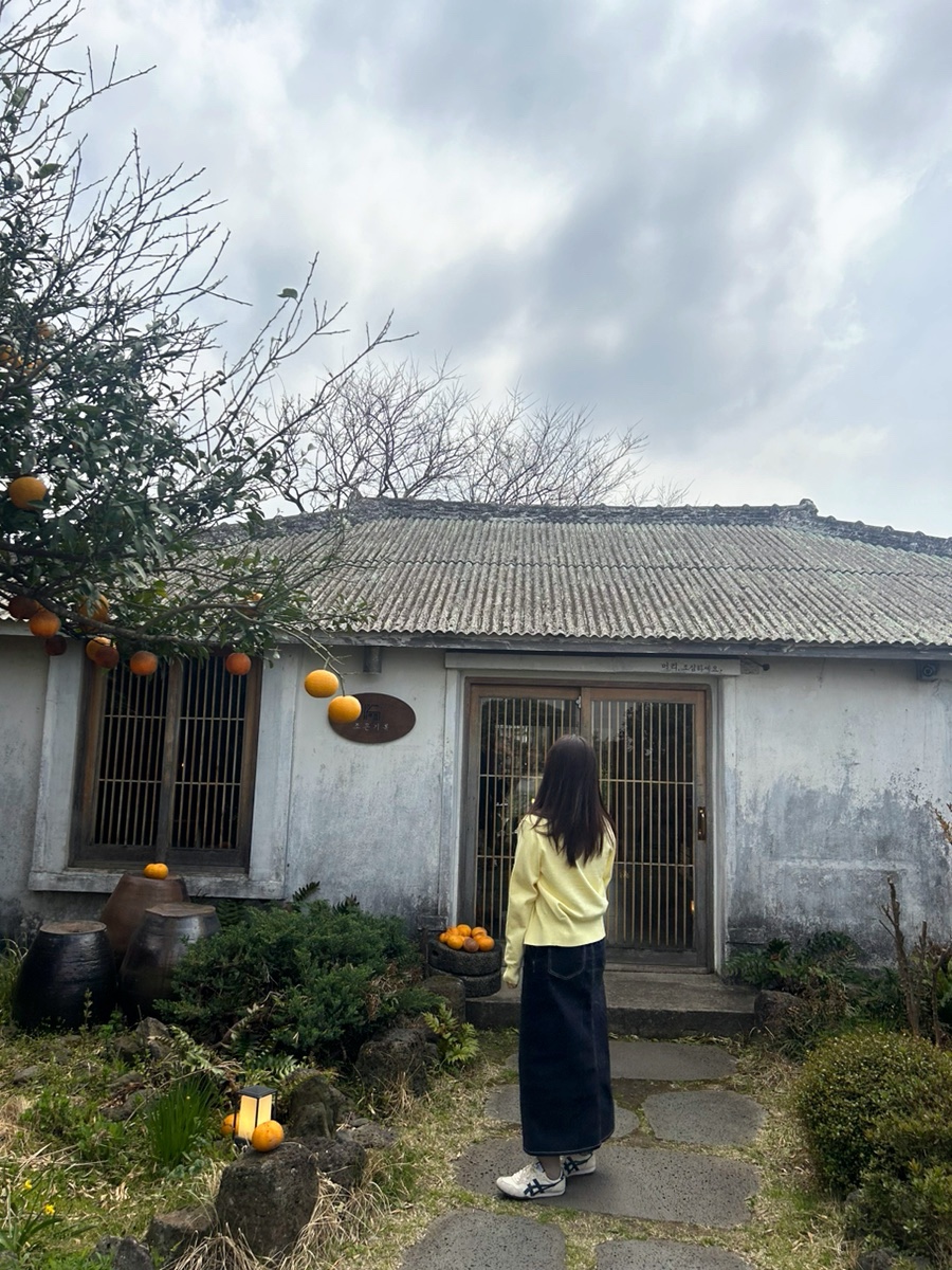 제주새참 이미지