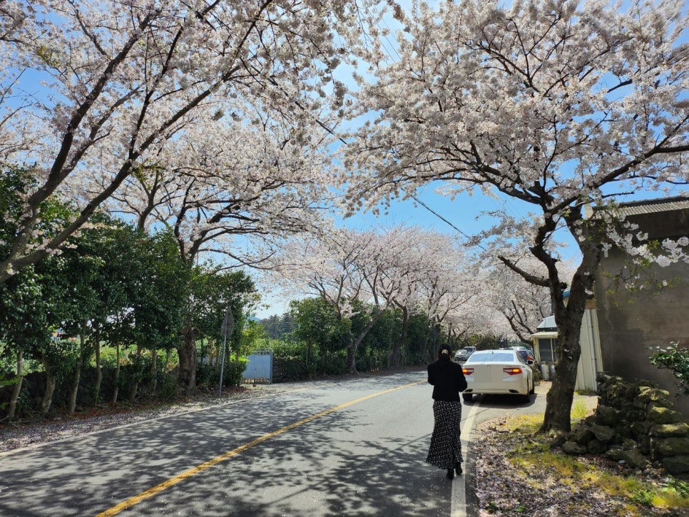 대흘민박 이미지