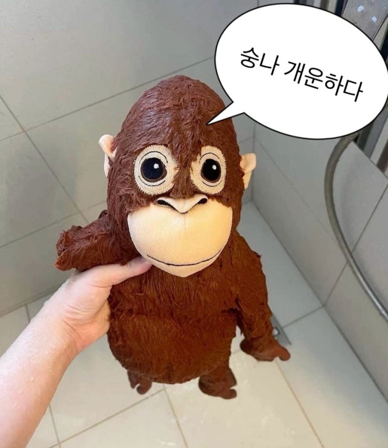 우탄 이미지