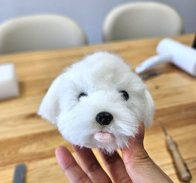 콩순이네 이미지