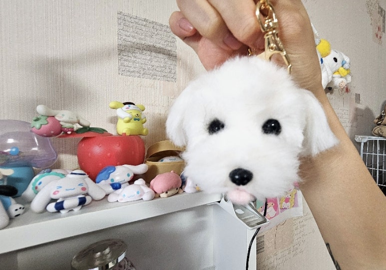 콩순이네 이미지