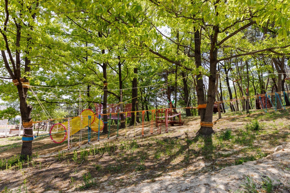 화랑 유아숲체험원 이미지