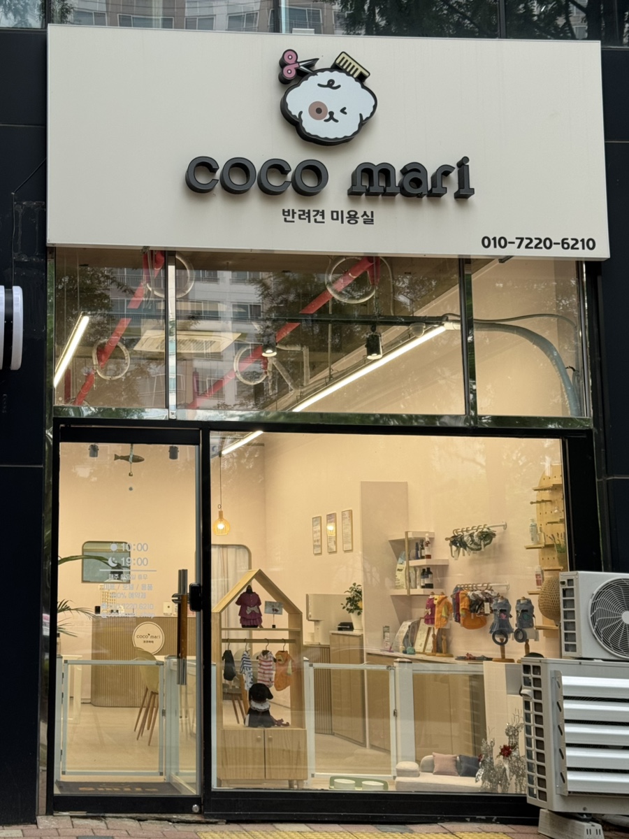 코코 반려견미용실 이미지