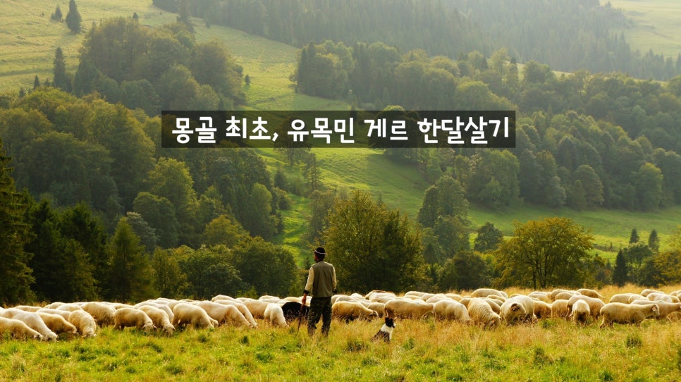 여행생각 이미지