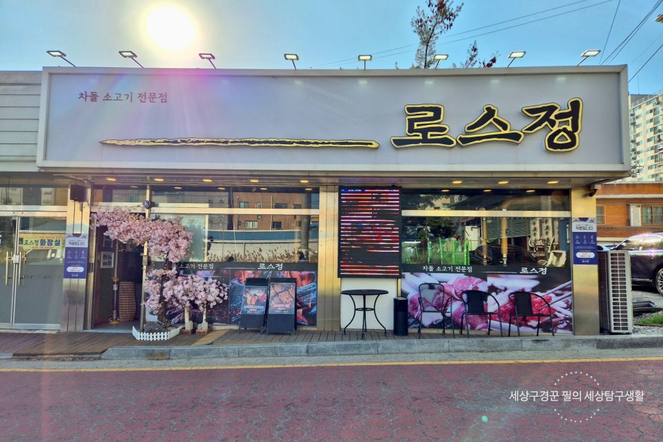 로스정 이미지