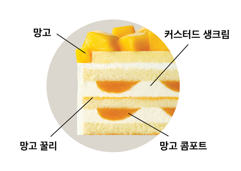 리퓌레 이미지