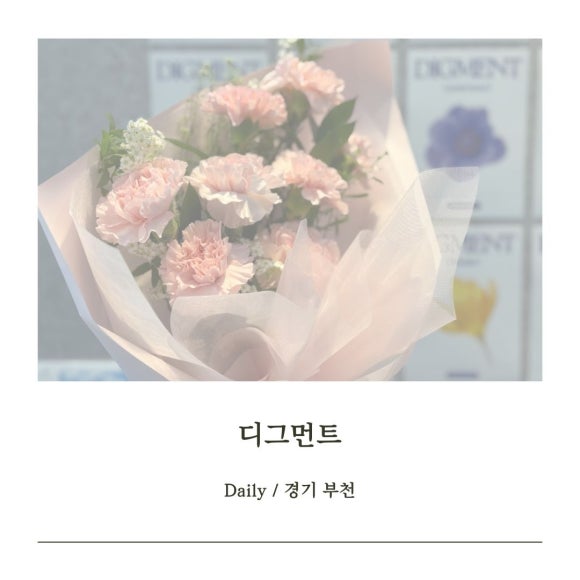 디그먼트 이미지