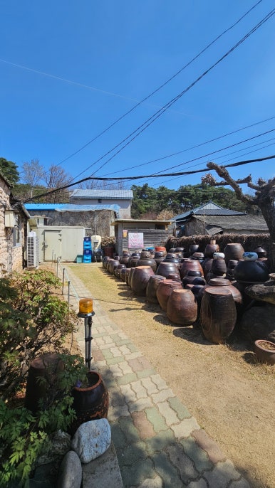 순한우 이미지