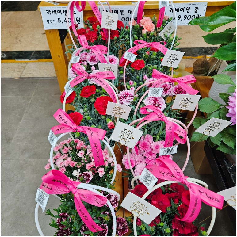 도우미꽃식물원 이미지