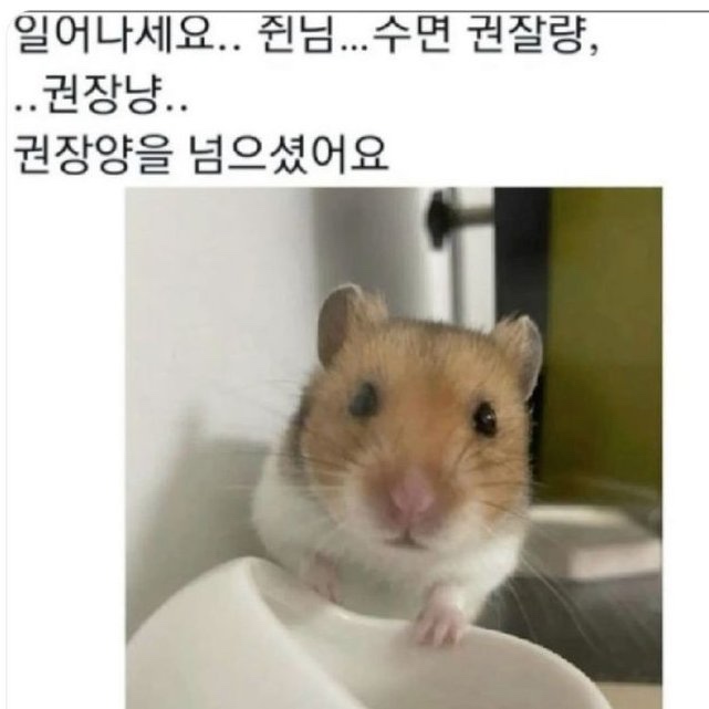 맑은유리 이미지