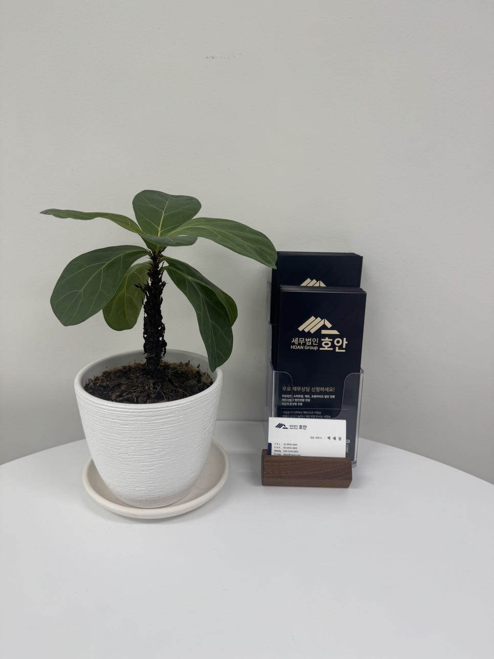 세무법인바로중 이미지