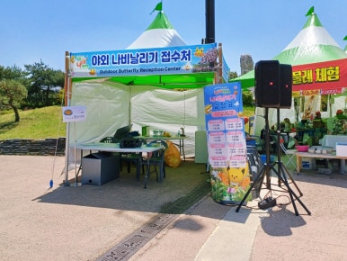 나비의상실 이미지
