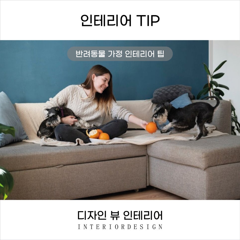 인테리어디자인뷰 이미지