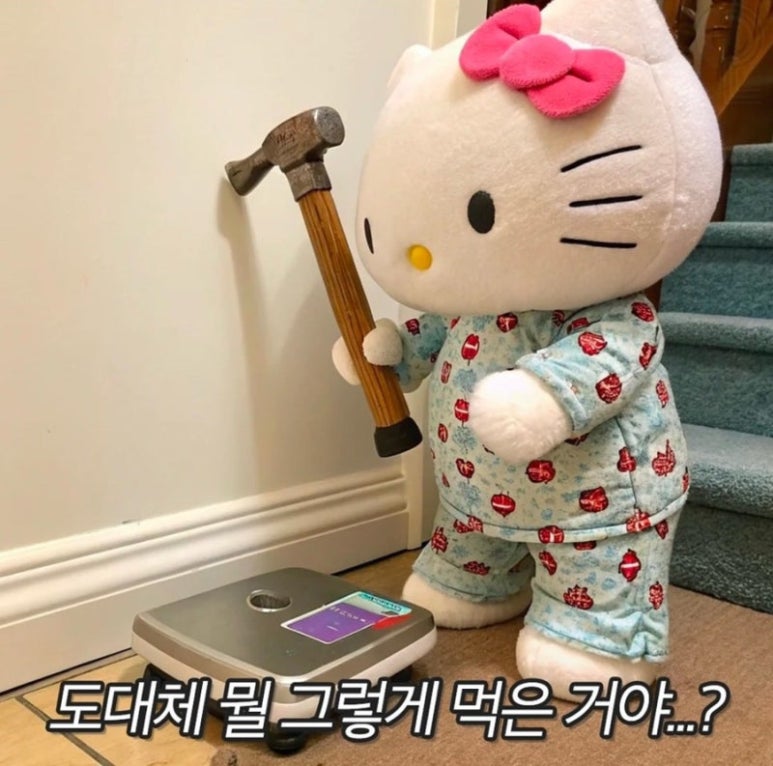 수디 이미지