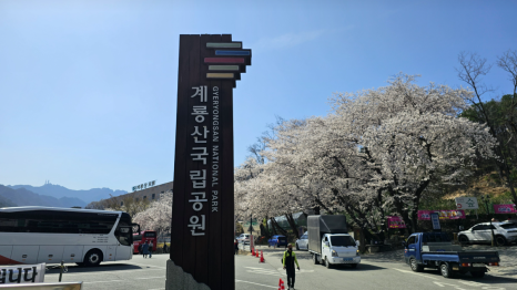 계룡산 경관 이미지