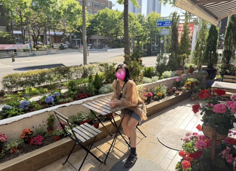 비바돌체 이미지
