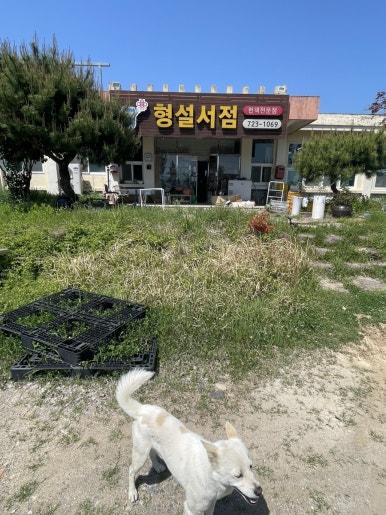 형설서점 이미지