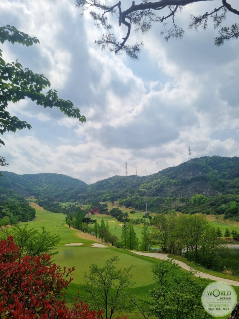 월드회원권거래소 이미지