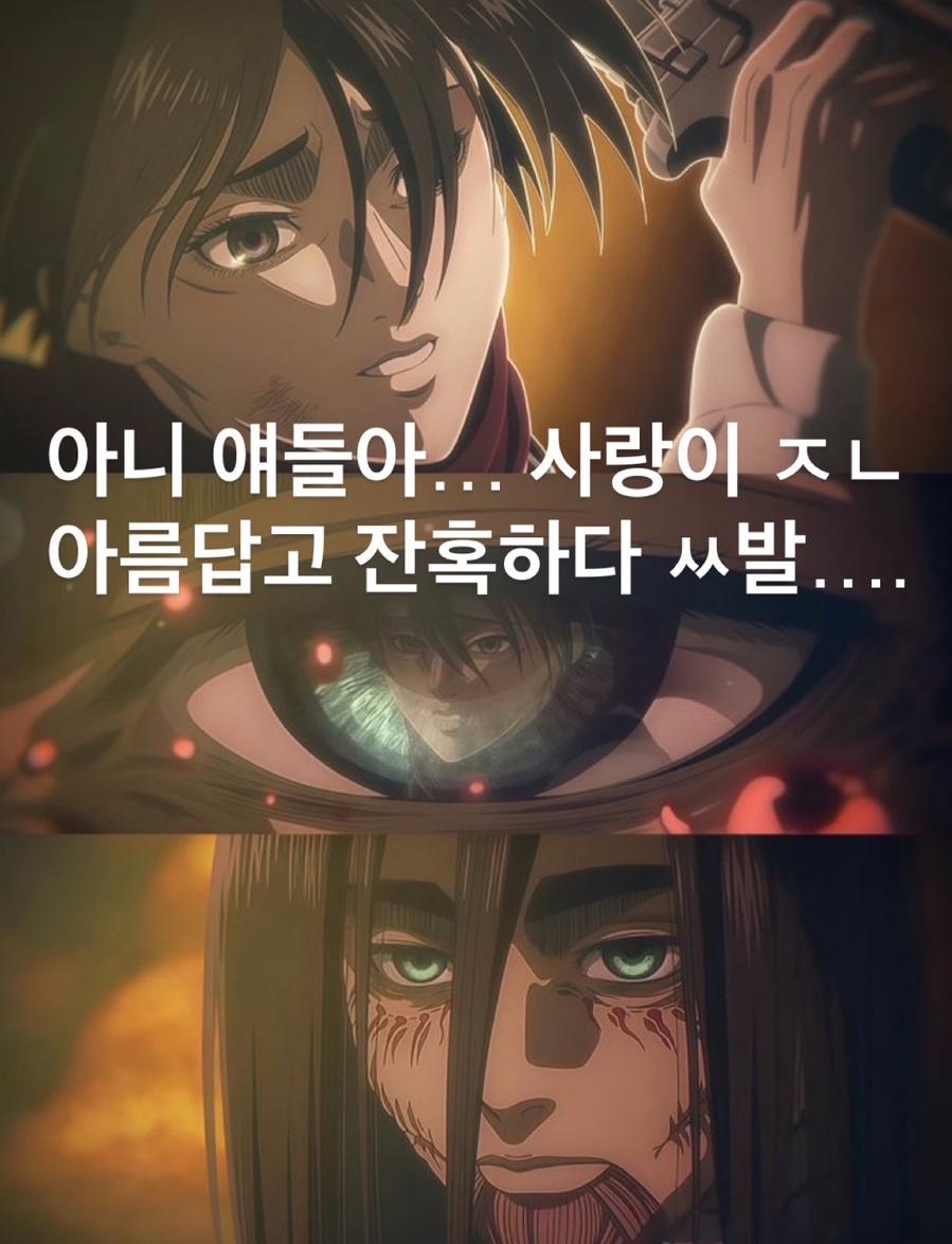 다옴한지 이미지