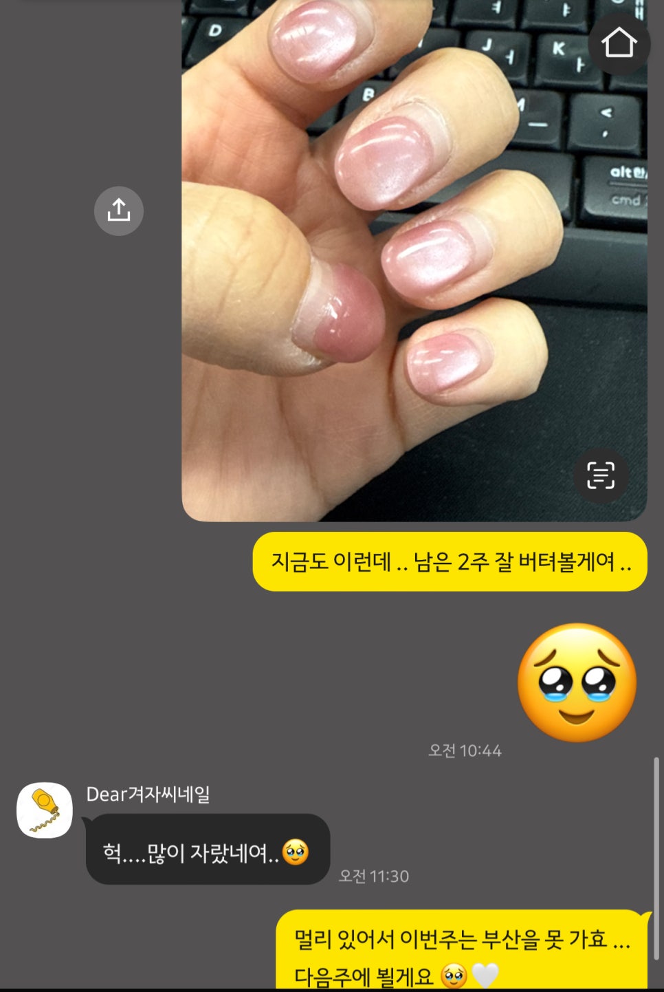 디어겨자씨네일 이미지