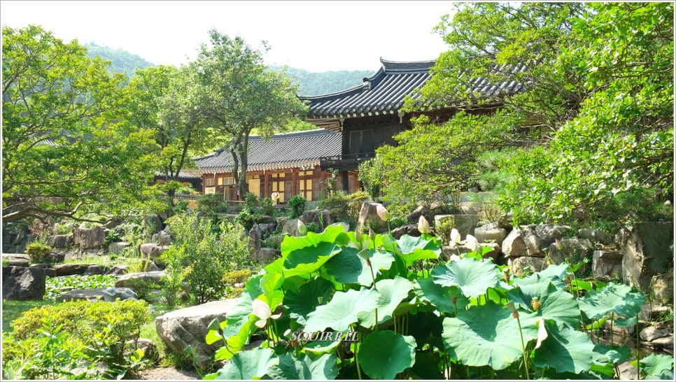 육화당 이미지