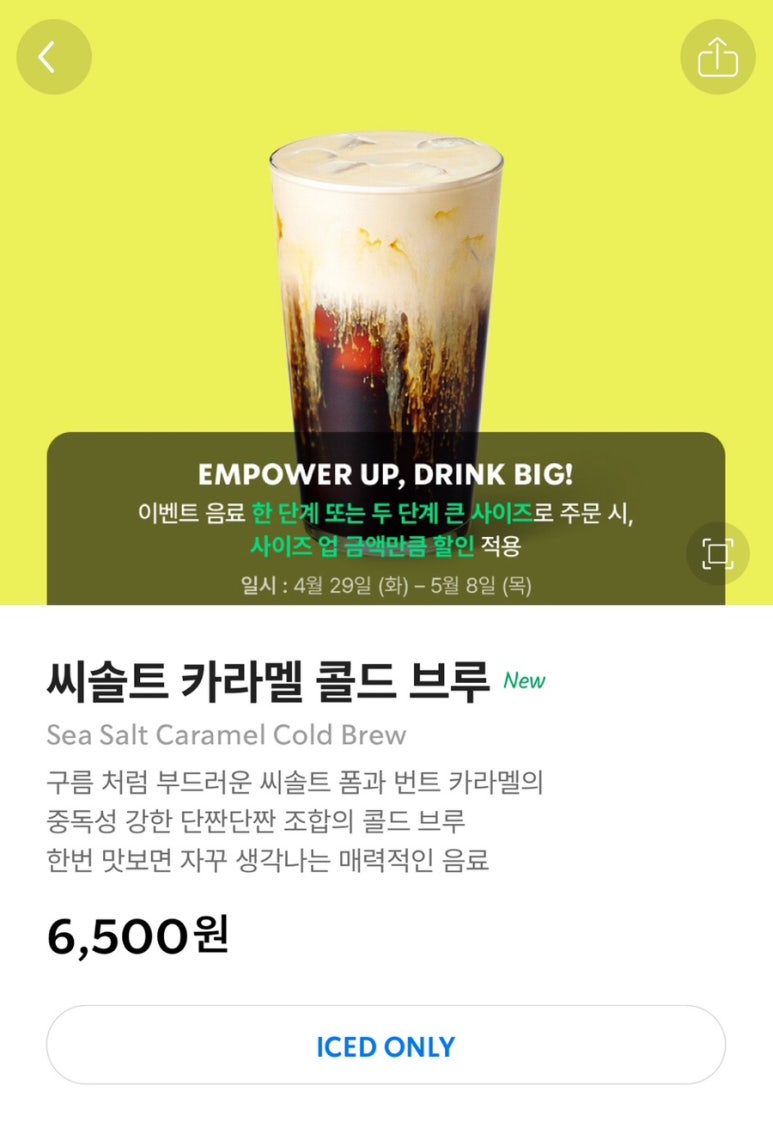 솔트씨 이미지