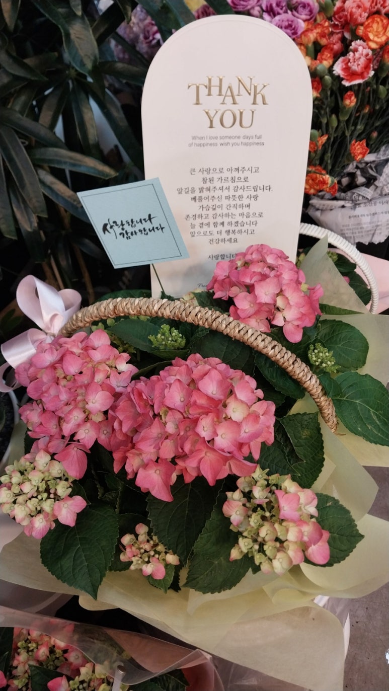 블랙버드플라워 이미지