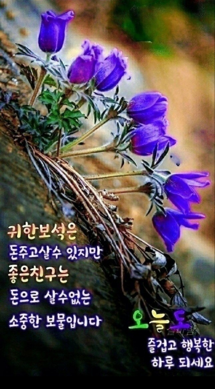 토로커피 이미지