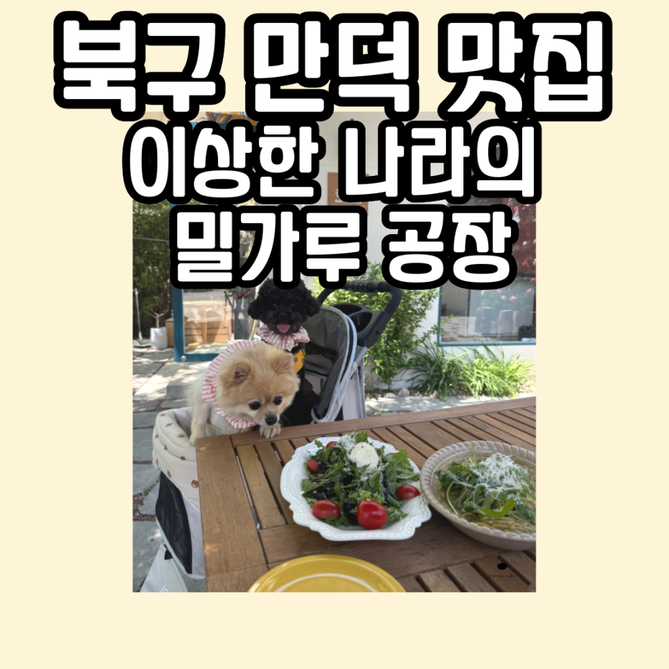 이상한나라의 밀가루공장 이미지