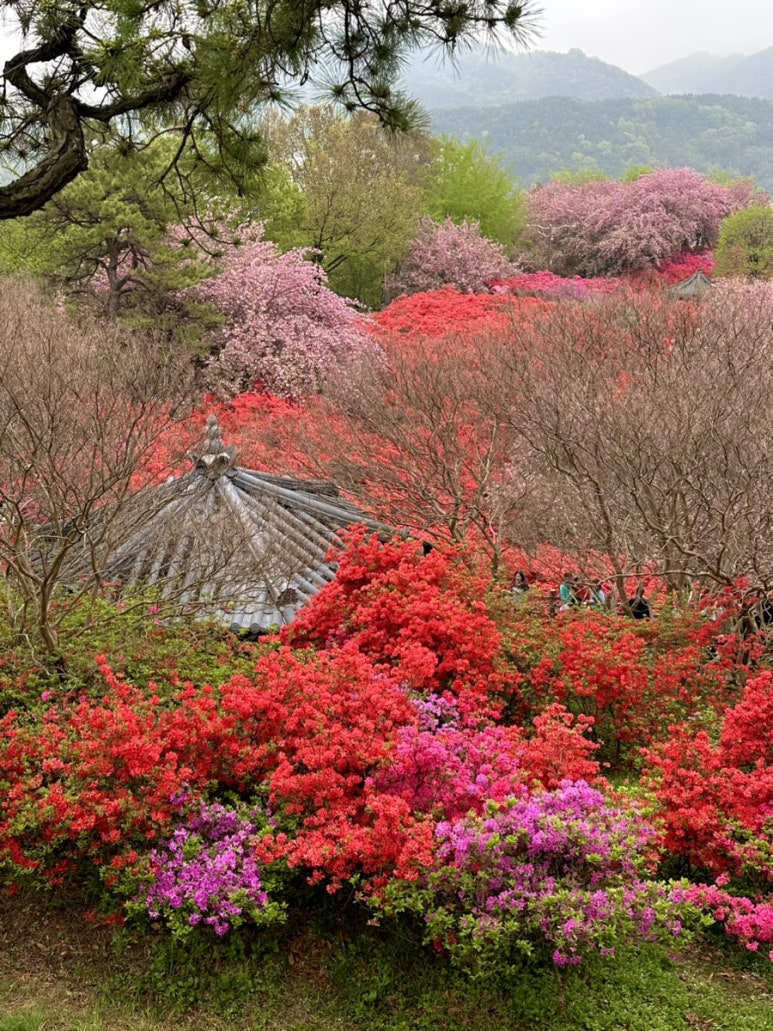 여유로이 이미지