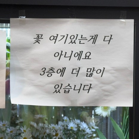 광화문세종문화회관꽃집인덕플라워앤와인 이미지