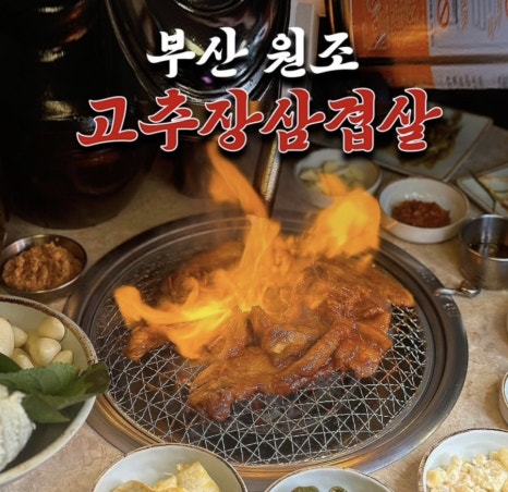 돼지나무 사랑걸렸네 이미지