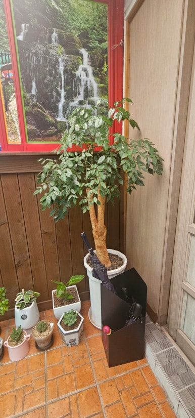 일성한우실비식당 이미지