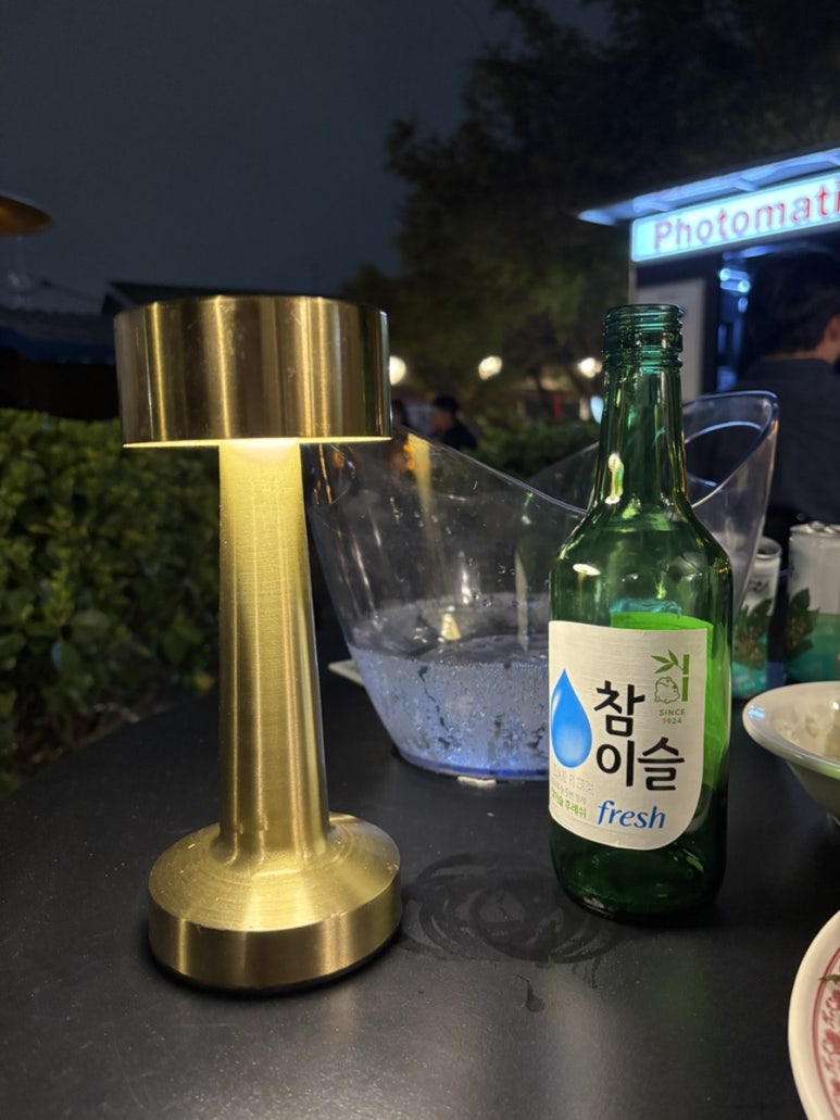 디스코포차 이미지
