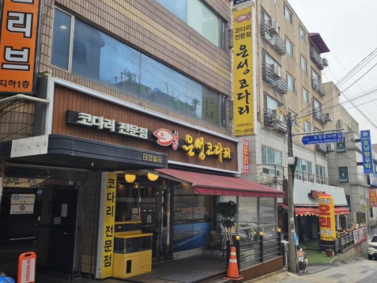 은성코다리 이미지