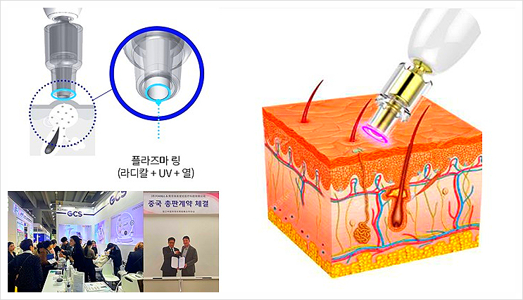 가나필아 이미지