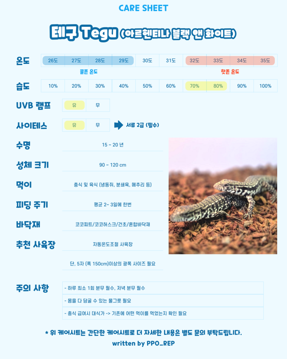 블랙앤화이트케어 이미지