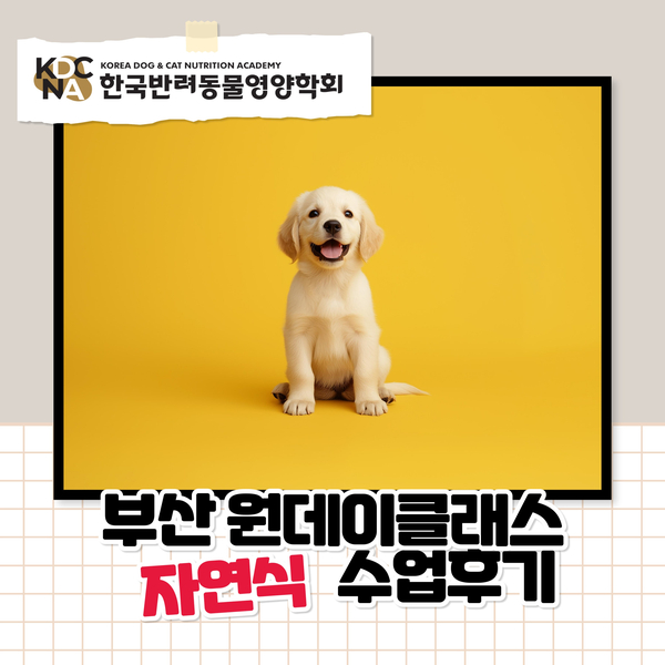 냠냠밸런스 이미지