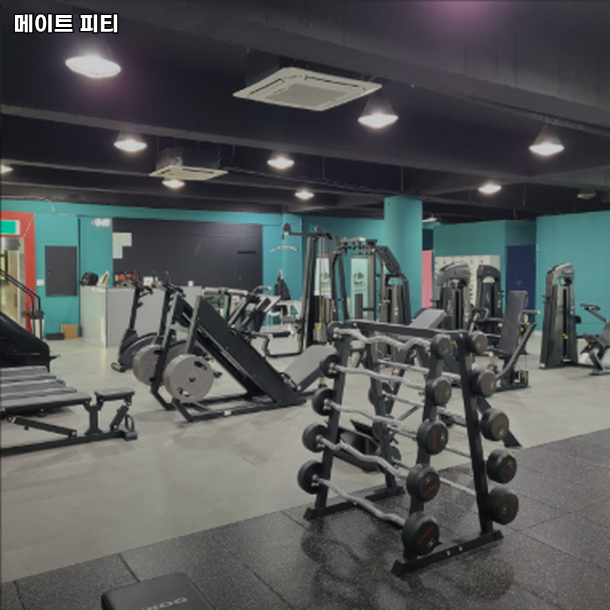 메이트피티 이미지