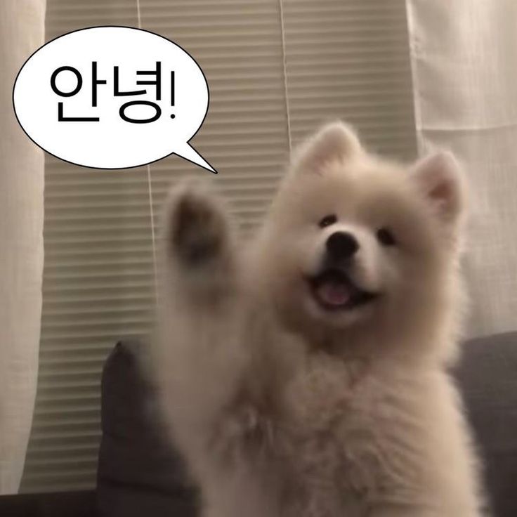 온곡중학교 이미지