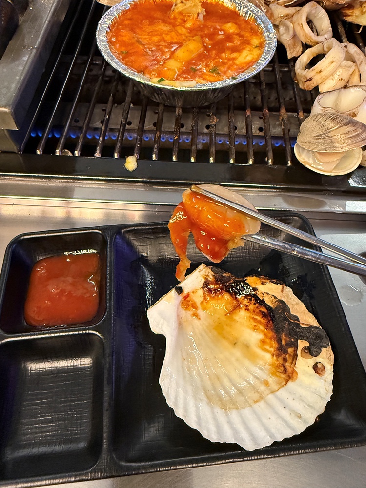 하와이조개 이미지